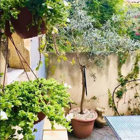 Holiday home Oli-oli House Center, Two Adjacent House X11 People,double Kitchen, Courtyard, Catania